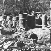 Wildcat moonshine still Hillsboro, Tennessee, 1943