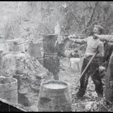 A moonshine still being "busted," Grundy County, Tennessee, ca. 1900