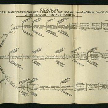 Diagram of the Moral Manifestations Resulting from the Normal and Abnormal Conditions of the Nervous-Mental Structure
