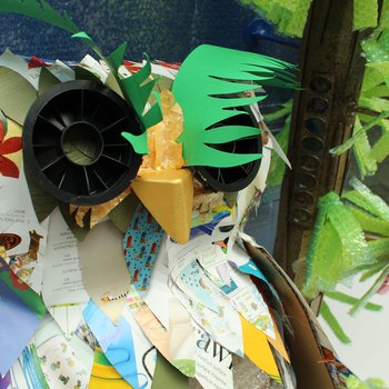 Recycling is a Hoot!, 2018, close-up