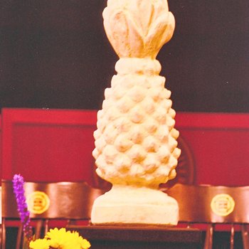 Concrete Pineapple Photograph