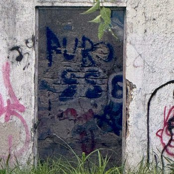 Photograph of "Puro 956" Graffiti