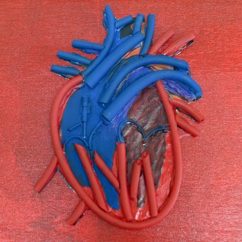 The Heart of Nursing, 2025, close-up