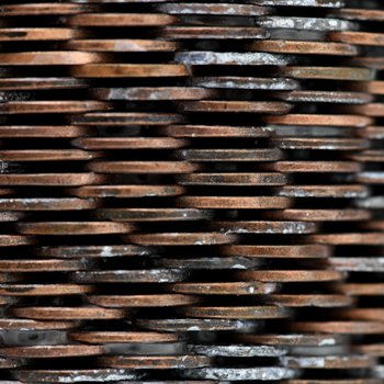 Growing Resilience, 2025, detail