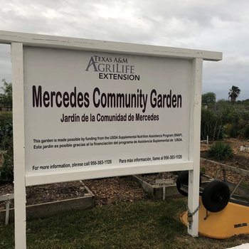 Photograph of Mercedes Community Garden