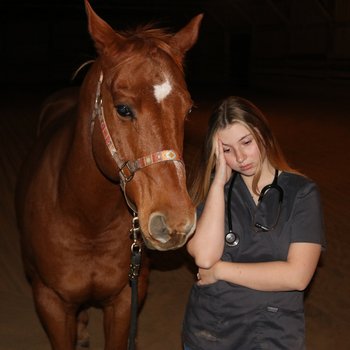 In the Quiet Hours: Stress of an Equine Veterinarian