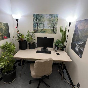 Aesthetic Enrichment Workplace Example