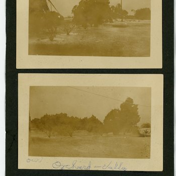 Orchard and Valley Landscape
