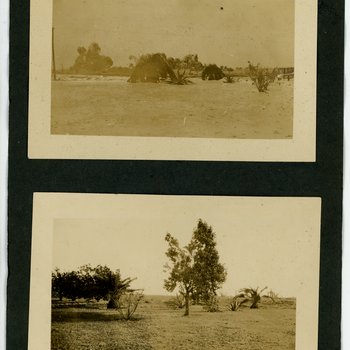 Rural Landscape and Vegetation Scenes