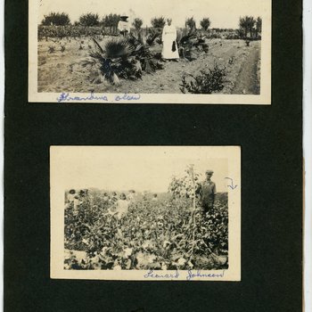 People and Cultivated Gardens, Fields