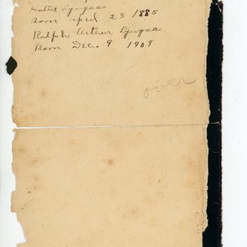 Lyngaas Family Birth Record Page