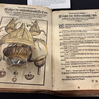 Ophthalmodouleia : das ist, Augendienst. Newer vnd wolgegrundter bericht von vrsachen vnd erkentniis aller gebrechen, schaden vnd mangel der aug (Dresden, 1583)
