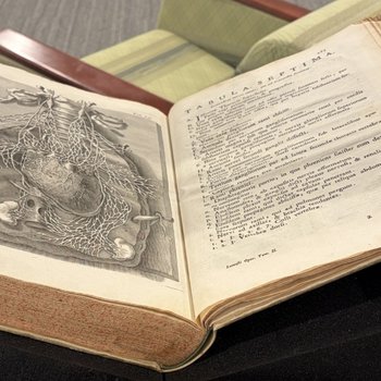 Jo. Mariæ Lancisii ... Opera varia : in unum congesta, et in duos tomos distributa (Rome, 1739)