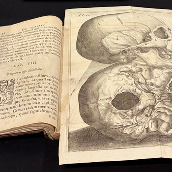 Primitiae anatomicae : De humani corporis ossibus (ca. 1615)