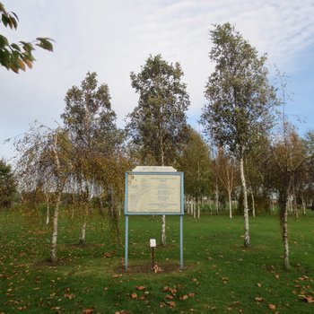 5BFTS Grove at the NMA 2014 Image 1