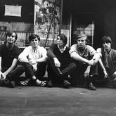 Terence Boylan 004-image