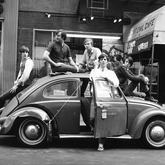 Terence Boylan 005-image