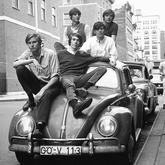 Terence Boylan 006-image