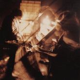 Leon's Sanguine Delight 002 - image