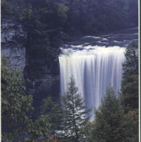 Our State Parks Today