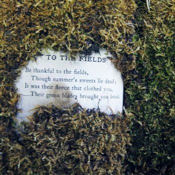To The Fields 2