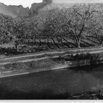 Irrigation Ditch near Fruit Orchard