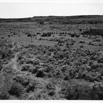 View of Irrigable Land