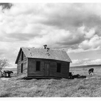 Abandoned Farm near Quincy, Washington