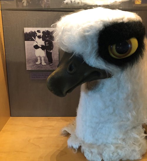 Ozzie Osprey Mascot Costume head