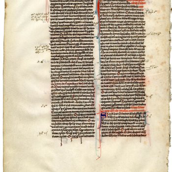 Sentences- Med MS 7B