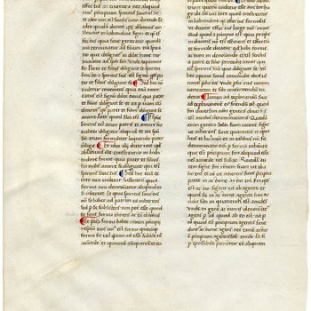 Commentary on the Sentences of Peter Lombard, Book I- Med MS 8B