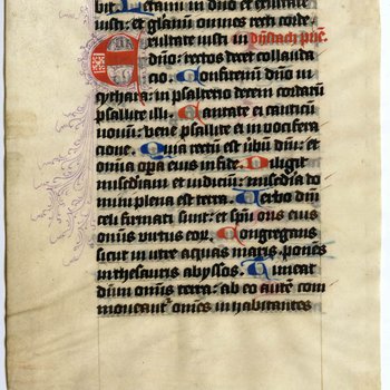 Psalter- Med MS 10A