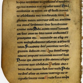 Monastic Psalter- Med MS 11B