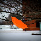 The Adventure of the Orange Umbrella