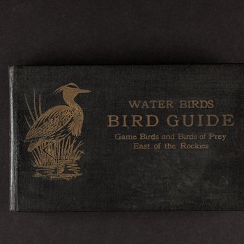 Bird Guide Water Birds, Game Birds and Birds of Prey