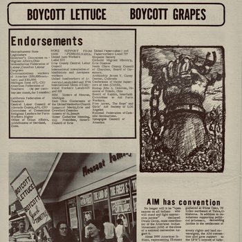 Boycott Lettuce & Grapes: Boicot de Lechuga y Uvas