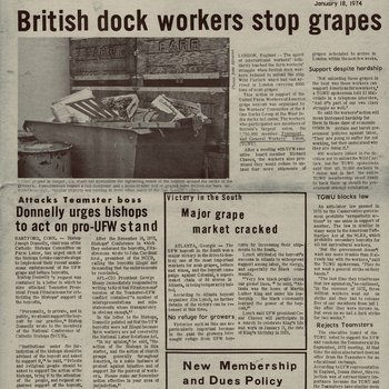 British Dock Workers Stop Grapes & Teamsters: Los Trabajadores Portuarios Británicos Detienen las Uvas y Los Camioneros
