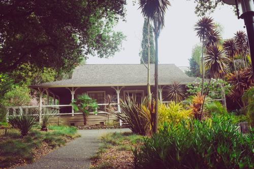 Brown House 3, 2019. Photo by Terise Camasura.