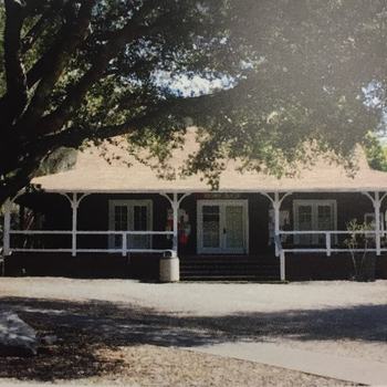 The Brown House