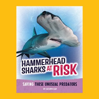 Hammerhead Sharks at Risk: Saving these Unusual Predators