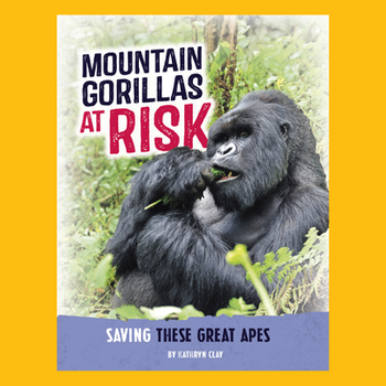 Mountain Gorillas at Risk: Saving these Great Apes