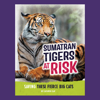 Sumatran Tigers at Risk: Saving these Fierce Big Cats