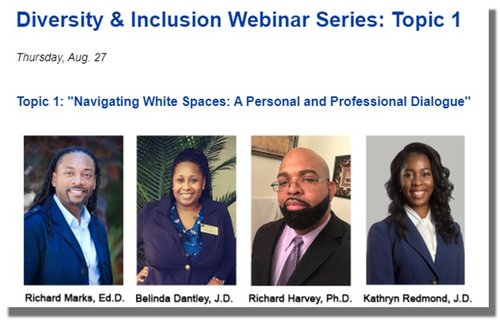 D&I Webinar Series_Tour 1