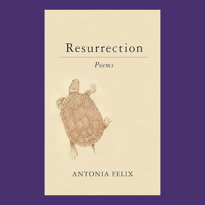 {{ item_info.title }}