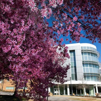 Monthly Highlights from DC@KSU