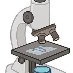 Direct estimation of amylose and amylopectin in single starch granules by machine learning assisted Raman spectroscopy