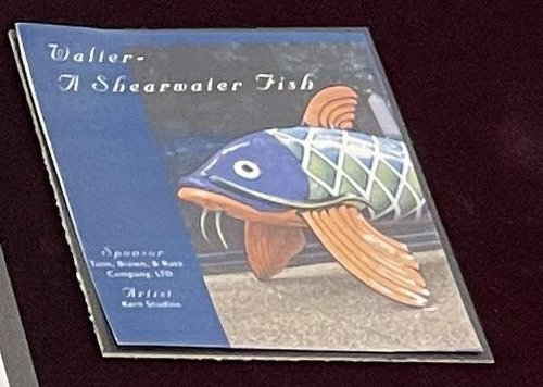 Walter: A Shearwater Fish