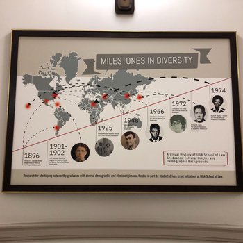 "Milestones In Diversity" Framed Canvas Timeline