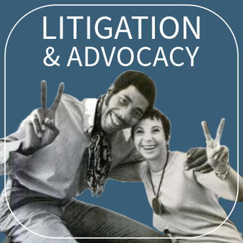 Litigation and Advocacy