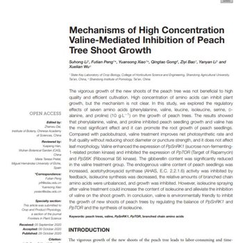 Mechanisms of High Concentration Valine-Mediated Inhibition of Peach Tree Shoot Growth